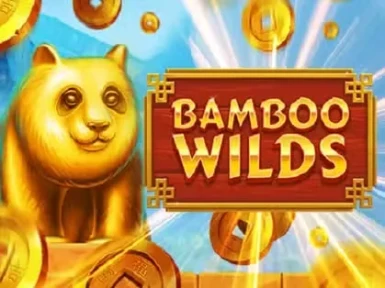 Wyns Casino screenshot